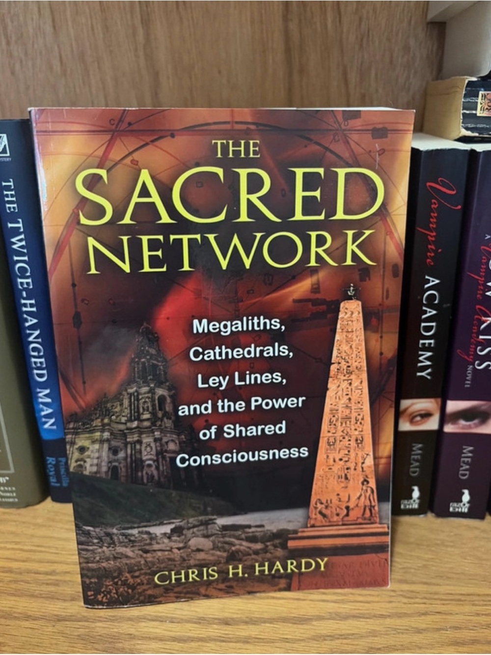 🆕 The Sacred Network by Chris H. Hardy